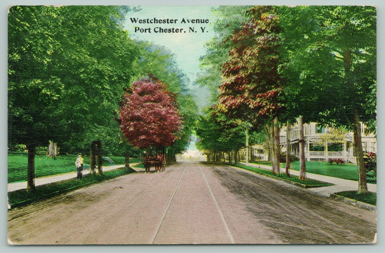 Port Chester New York~Westchester Avenue Homes~Horse Wagon~Trolley Tracks~1909