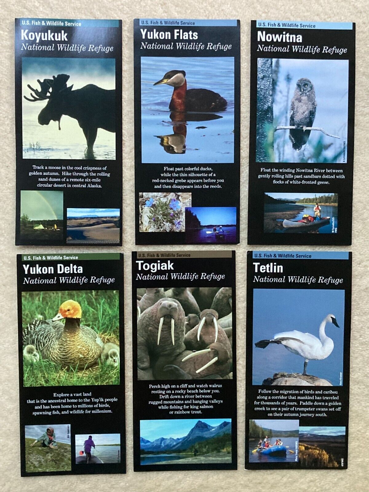 6 ALASKA National Wildlife Refuge Info Cards Walrus Moose Birds map guide hike +