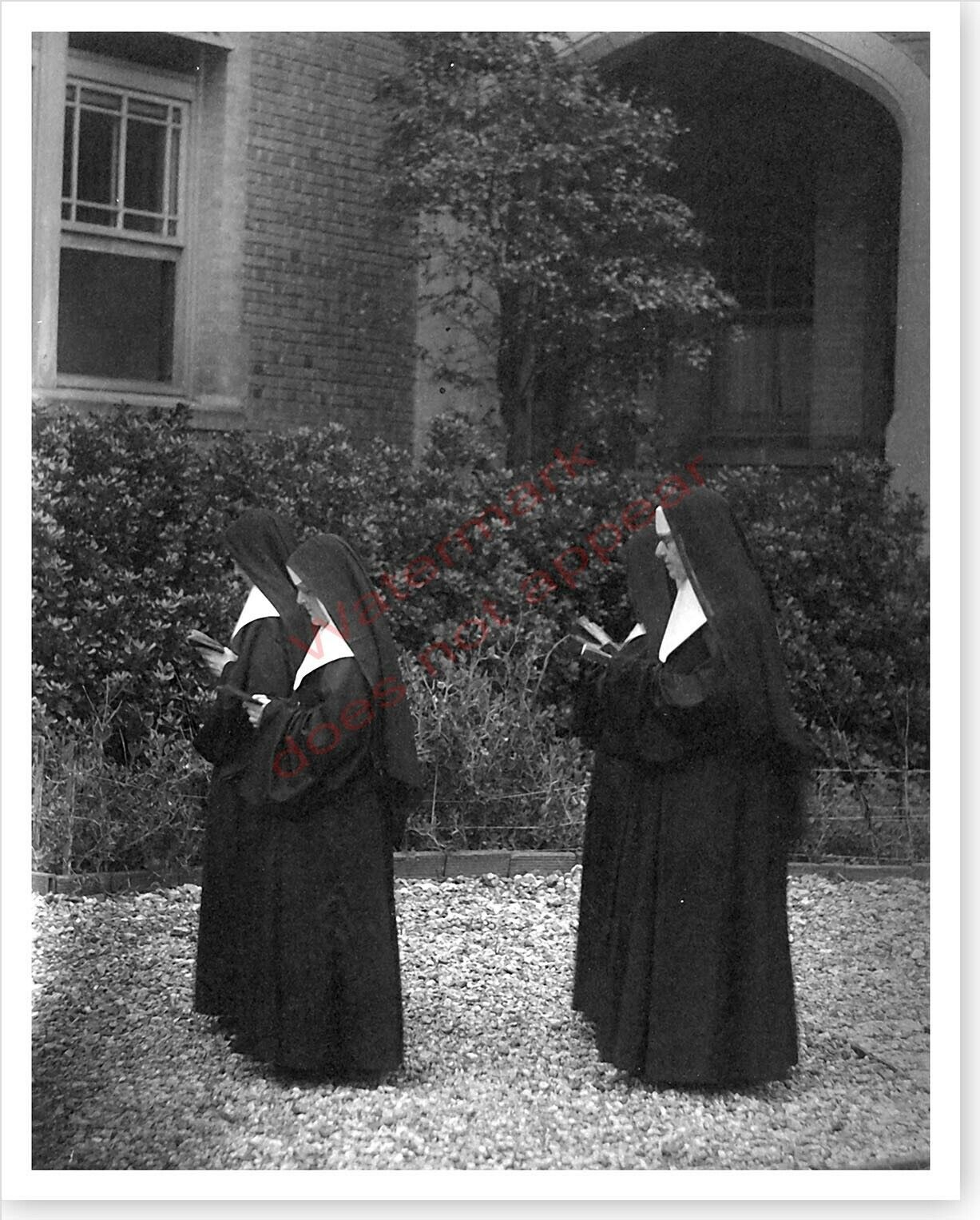 Catholic Nuns Reading Walking In Procession Religious 8x10 Silver Halide Photo