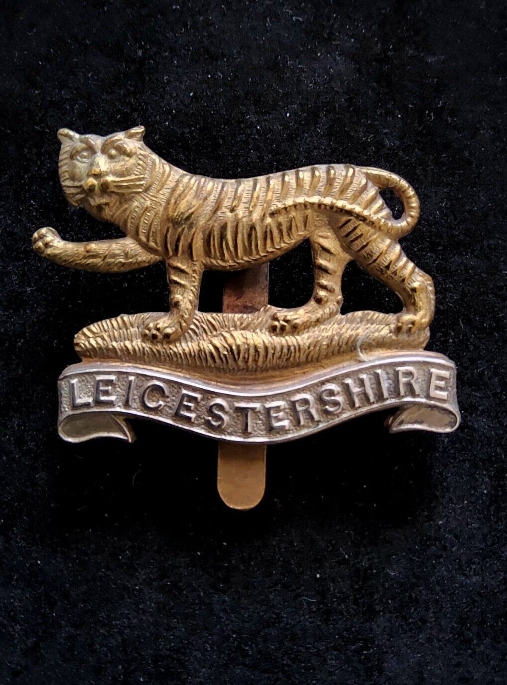 Original Royal Leicestershire Regiment Bi-Metal Cap Badge British Military