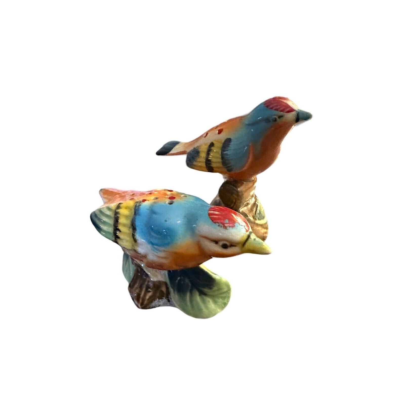 Brightly Painted Bird Pair In Different Poses Salt Pepper Shaker Set Ceramic EUC
