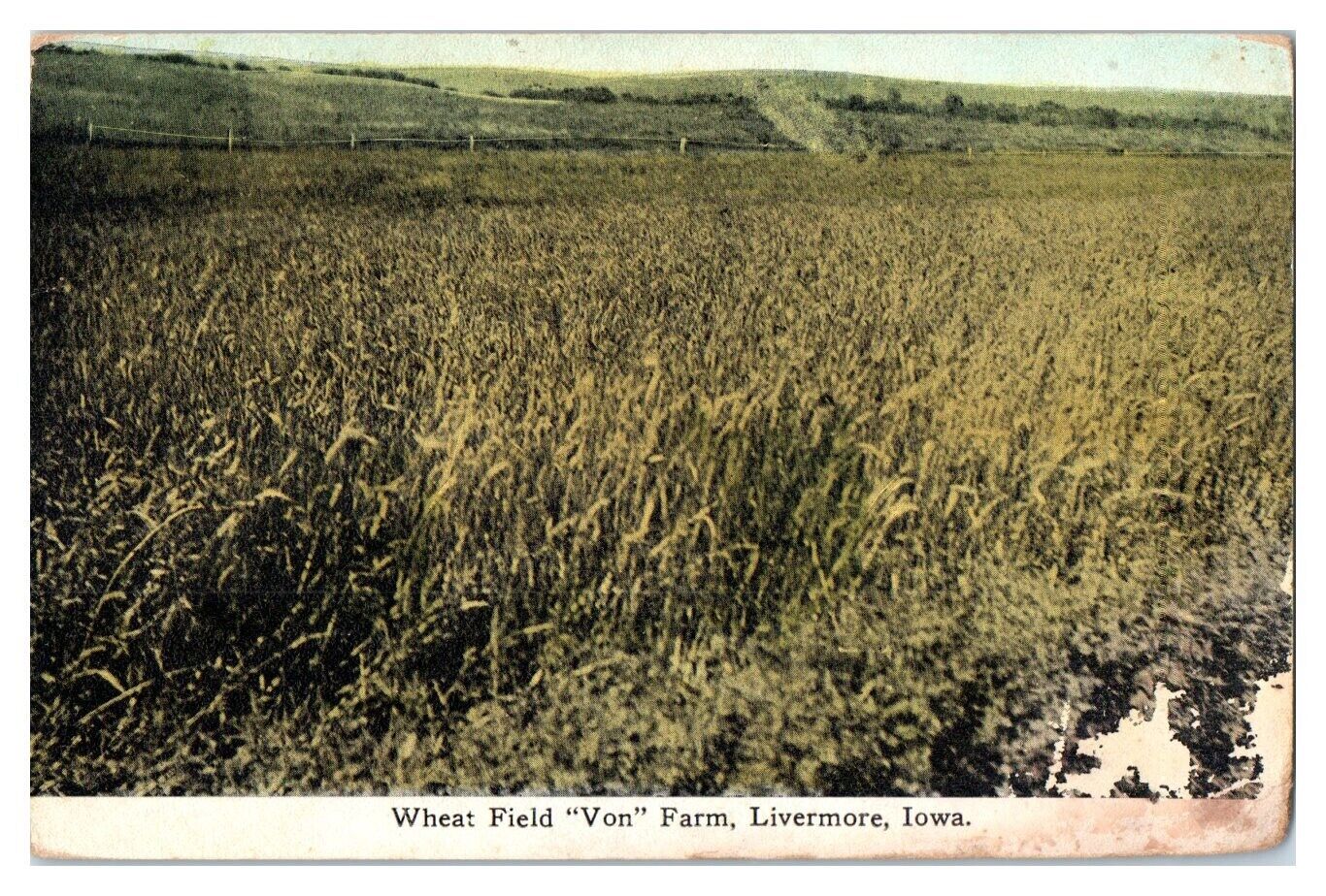 Early 1900s Von Farm Wheat Field, Livermore, IA Postcard *5F33