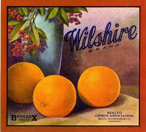 Rialto San Bernardino Wilshire Hollyberry Orange Citrus Fruit Crate Label Print