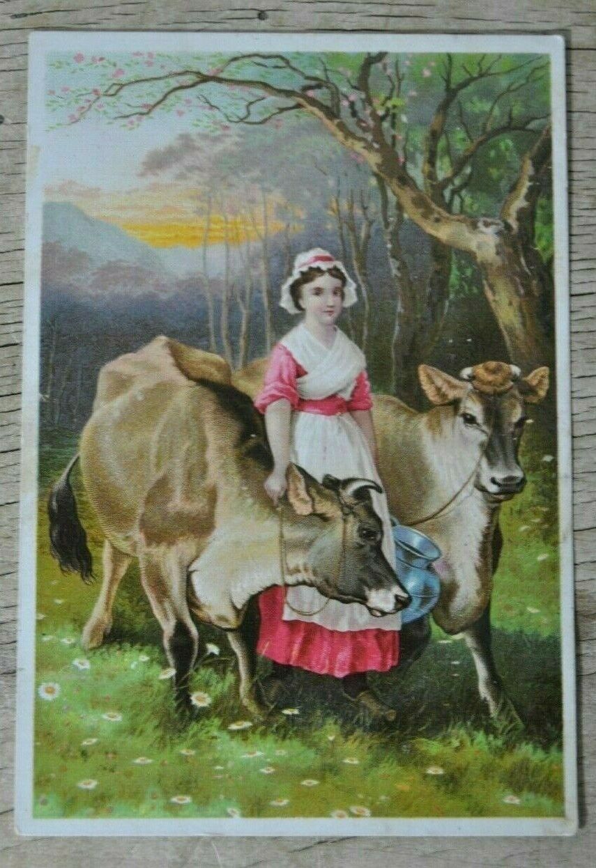 Antique Victorian The Jerseys Trading Card Wisconsin Women with Jersey Cow