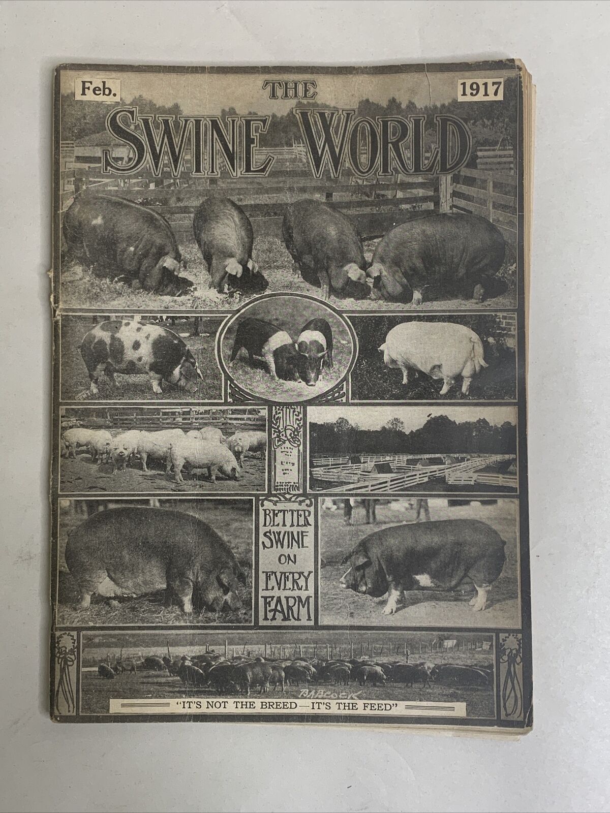 Antique The Swine World Magazine February 1917 Vol 4 #7 Hog Pig