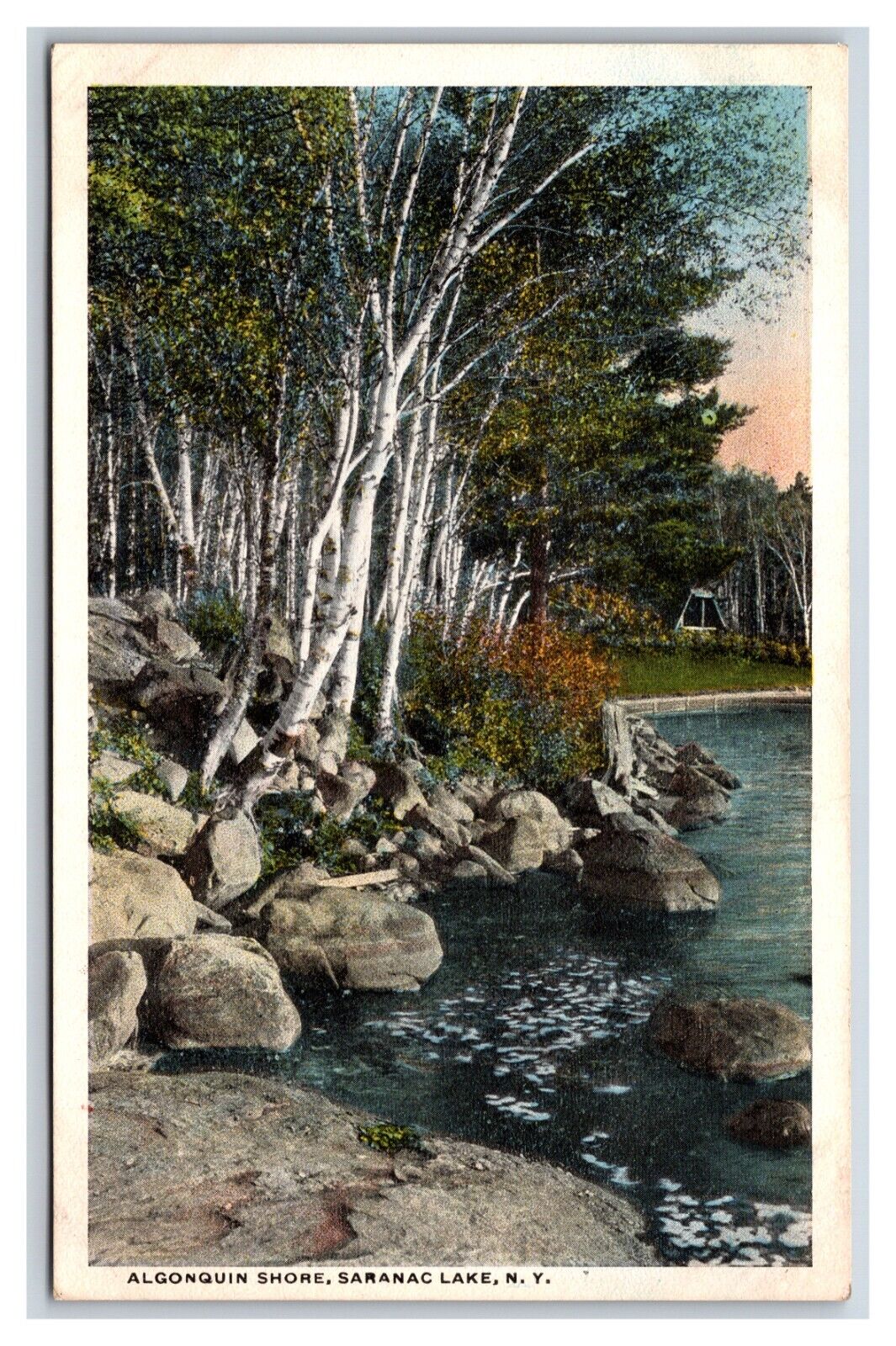 Algonquin Shore Saranac Lake New York UNP WB Postcard M19