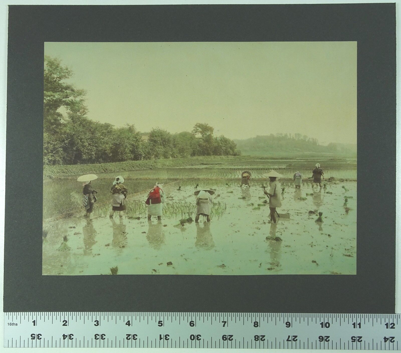 ORIGINAL Late 19th Century COLORED PHOTOGRAPH JAPAN Rice Paddy Field C1895 