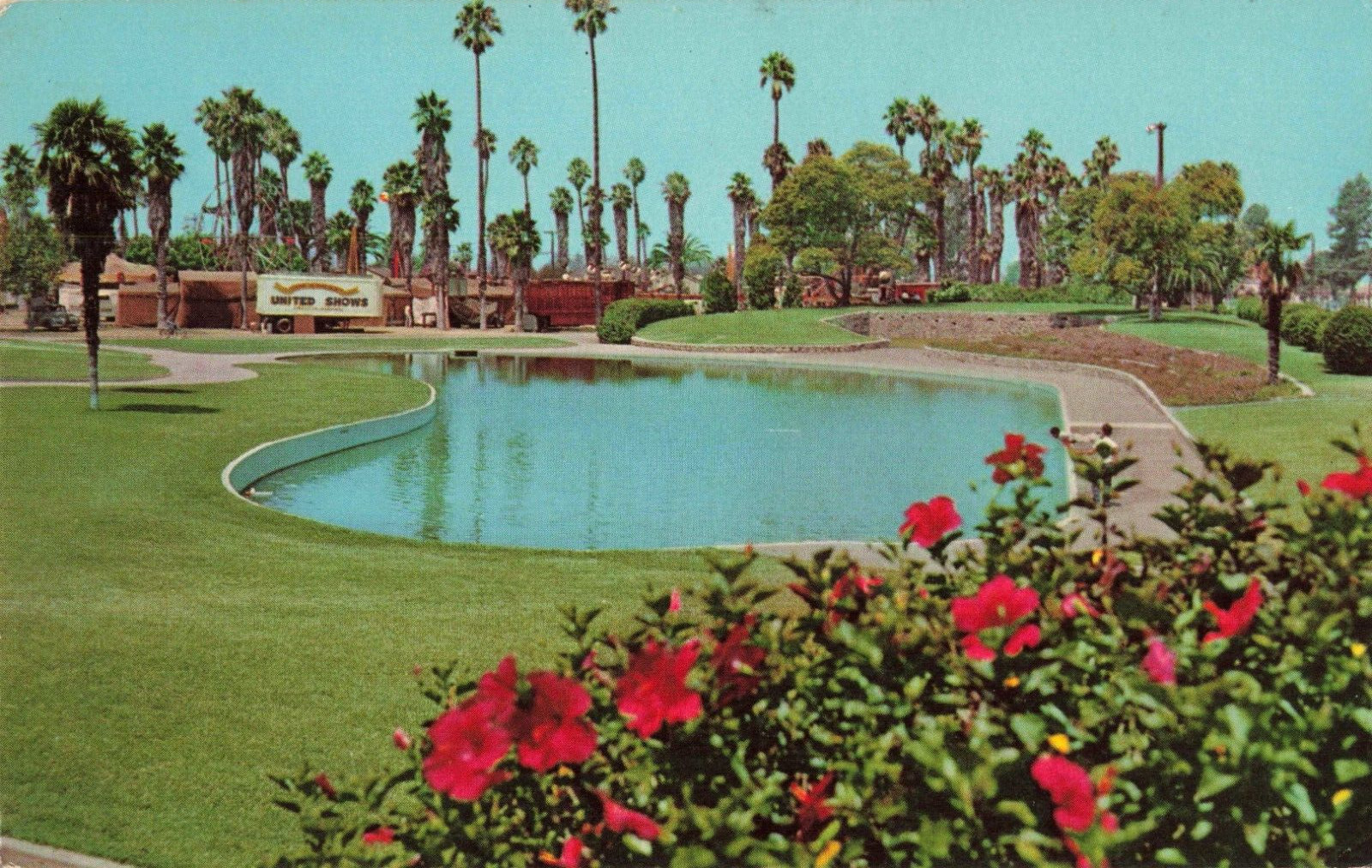 Anaheim California, Orange Co, La Palma Park Fly Casting Pool, Vintage Postcard