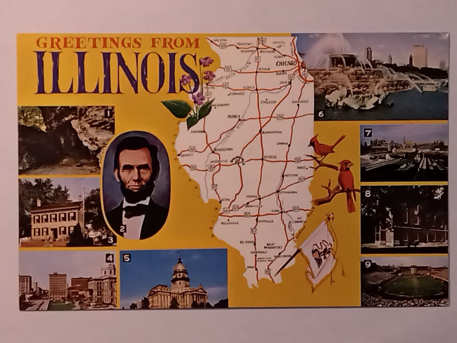 Greetings From Illinois Pictorial Map  Postcard