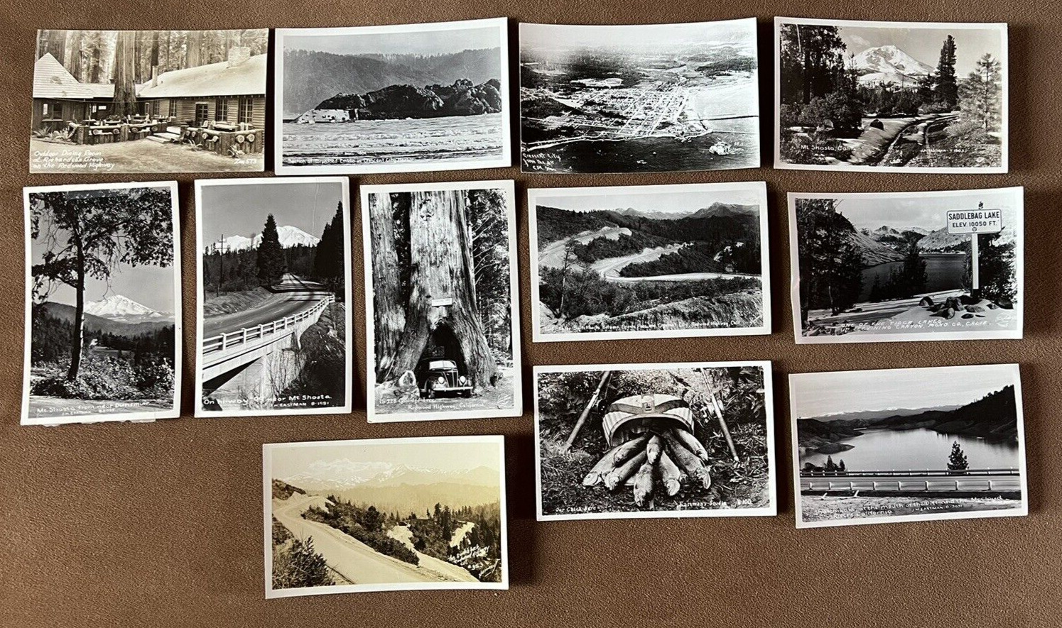 (12) Vintage Real Photo Postcards (Redwood Highway, Crescent City, Mt. Shasta)