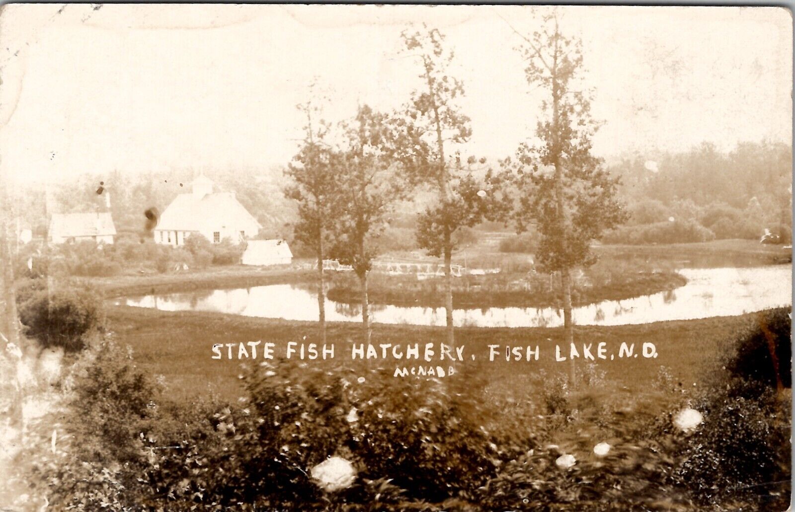 Fish Lake North Dakota RPPC State Fish Hatchery McNabb Photo c1910 Postcard X11