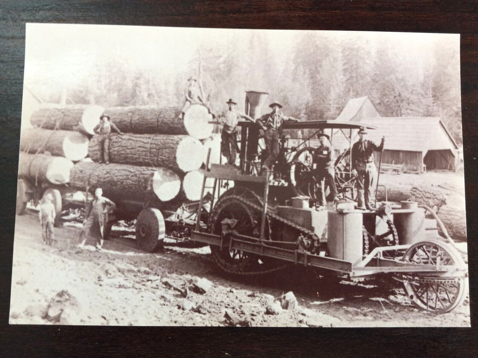 Old Time Lumbering Nevada City California Vintage Postcard Unused Photochrome