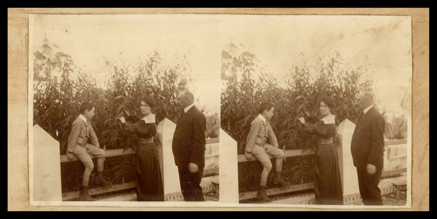 Family Near a Hedge, ca.1880, Stereo Vintage Print Stereo, Print