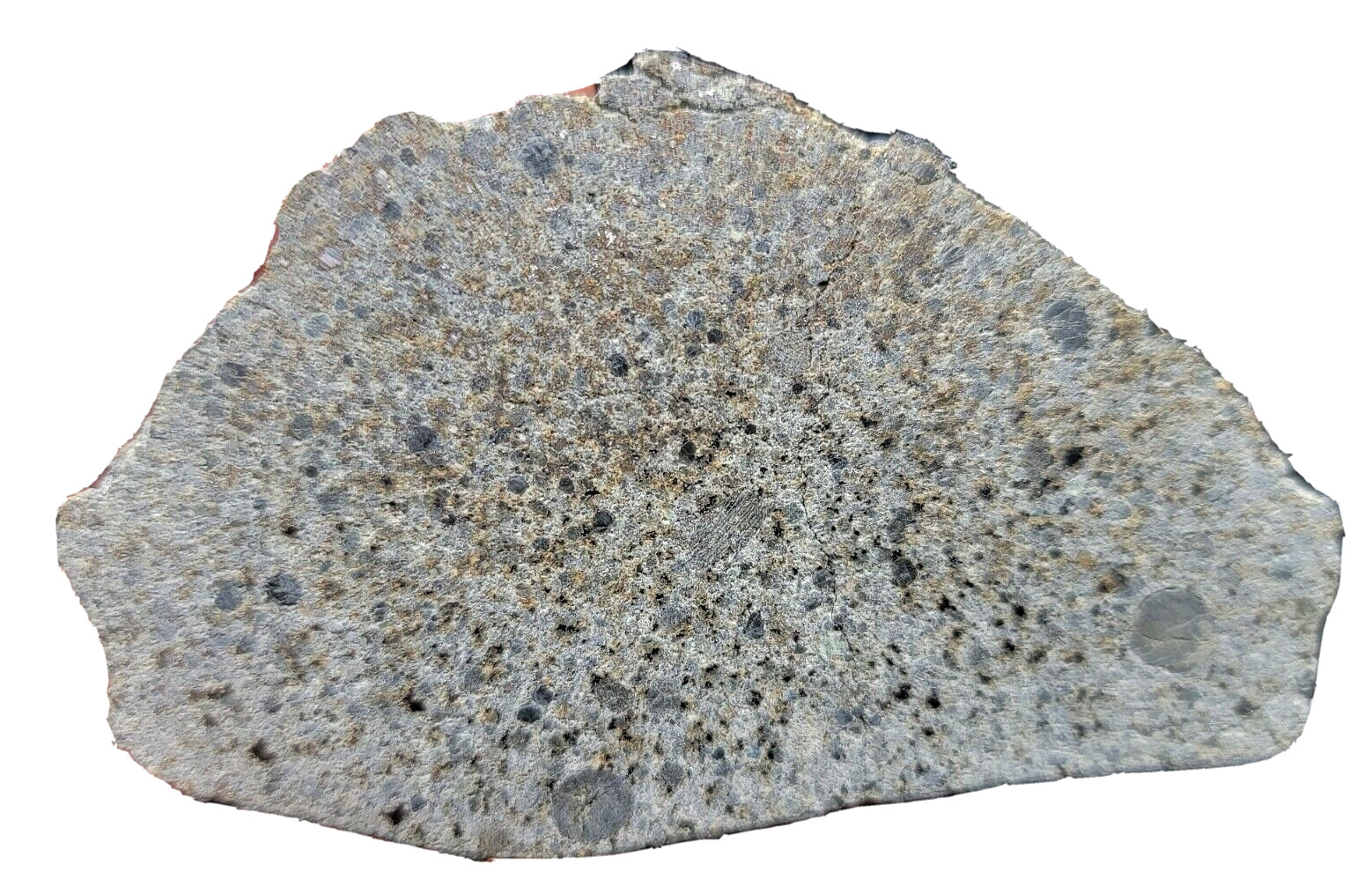 El Hassan Ould Hamed 002 (108.54g) Meteorite, Crusted End Cut, IMCA#6236
