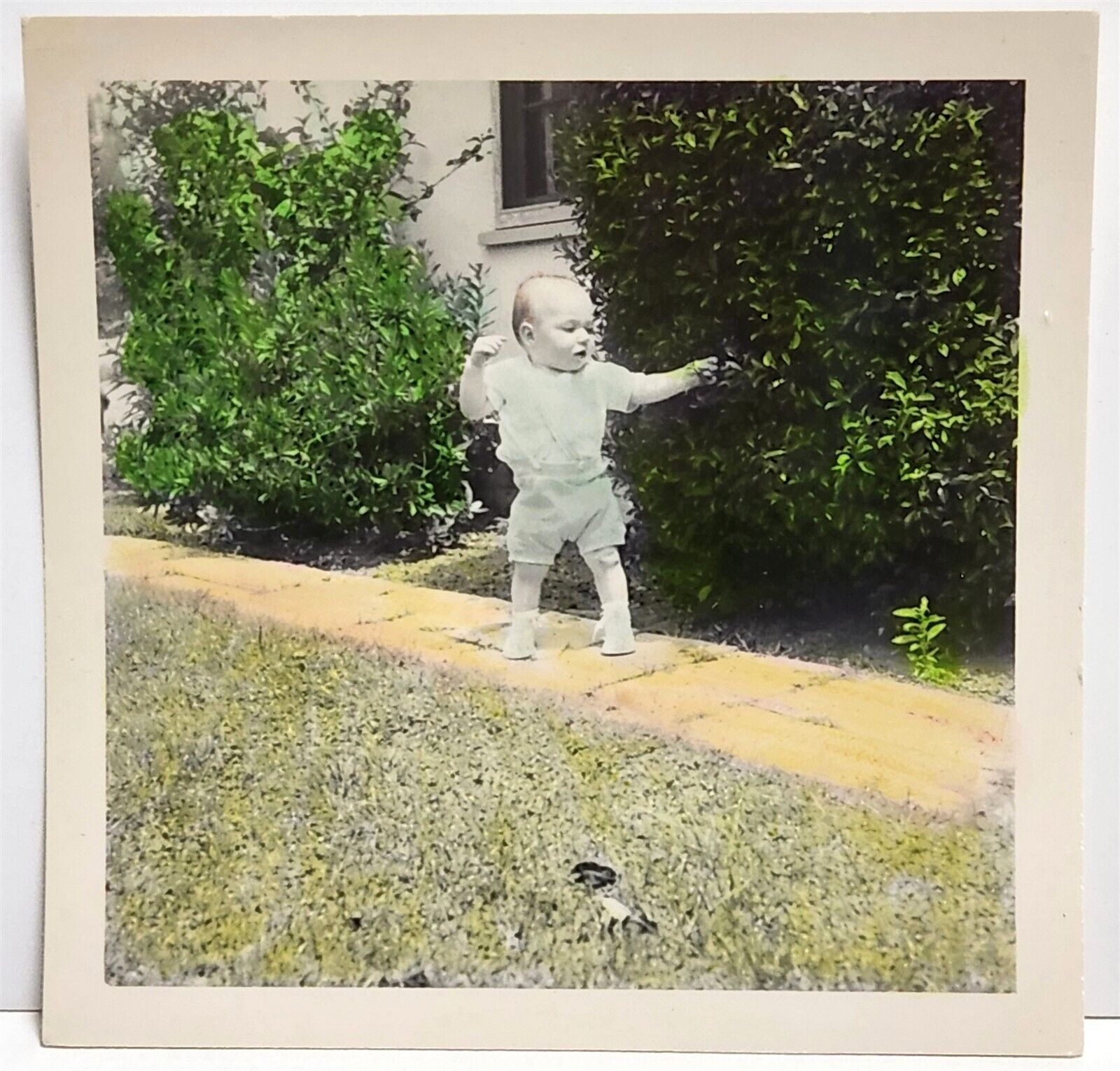 Tinted Photo 10 Month Old Jerry Walking - Amateur Coloring VTG Photo A9