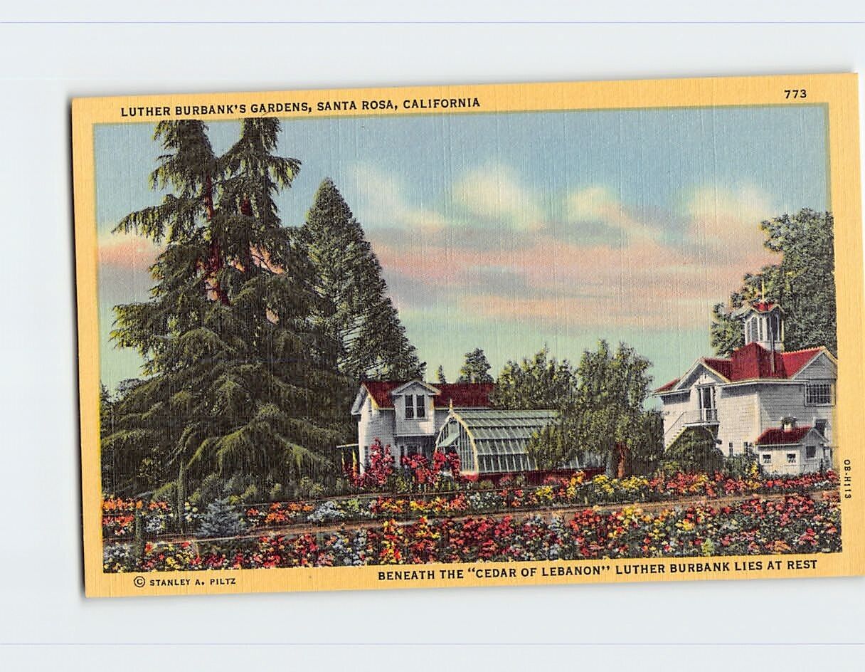 Postcard Luther Burbank\'s Gardens, Santa Rosa, California