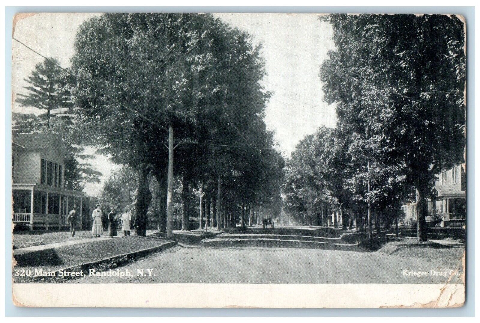 1907 Main Street Road Exterior Houses Trees Randolph New York Vintage Postcard