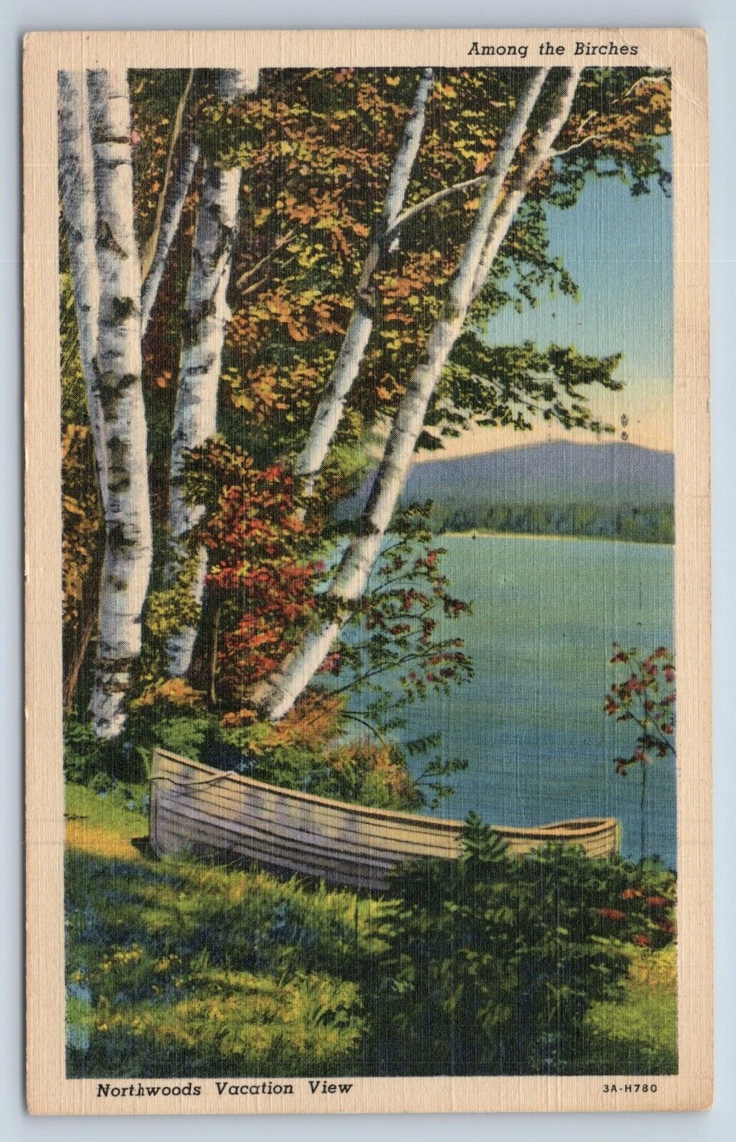 Postcard Among the Birches Northwoods Vacation View Minnesota