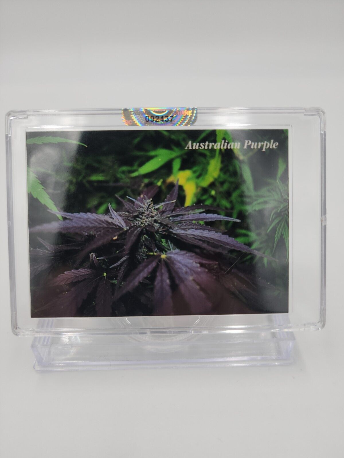 VTG Trading card Marijuana InLine Cannabis Weed Ganja THC \
