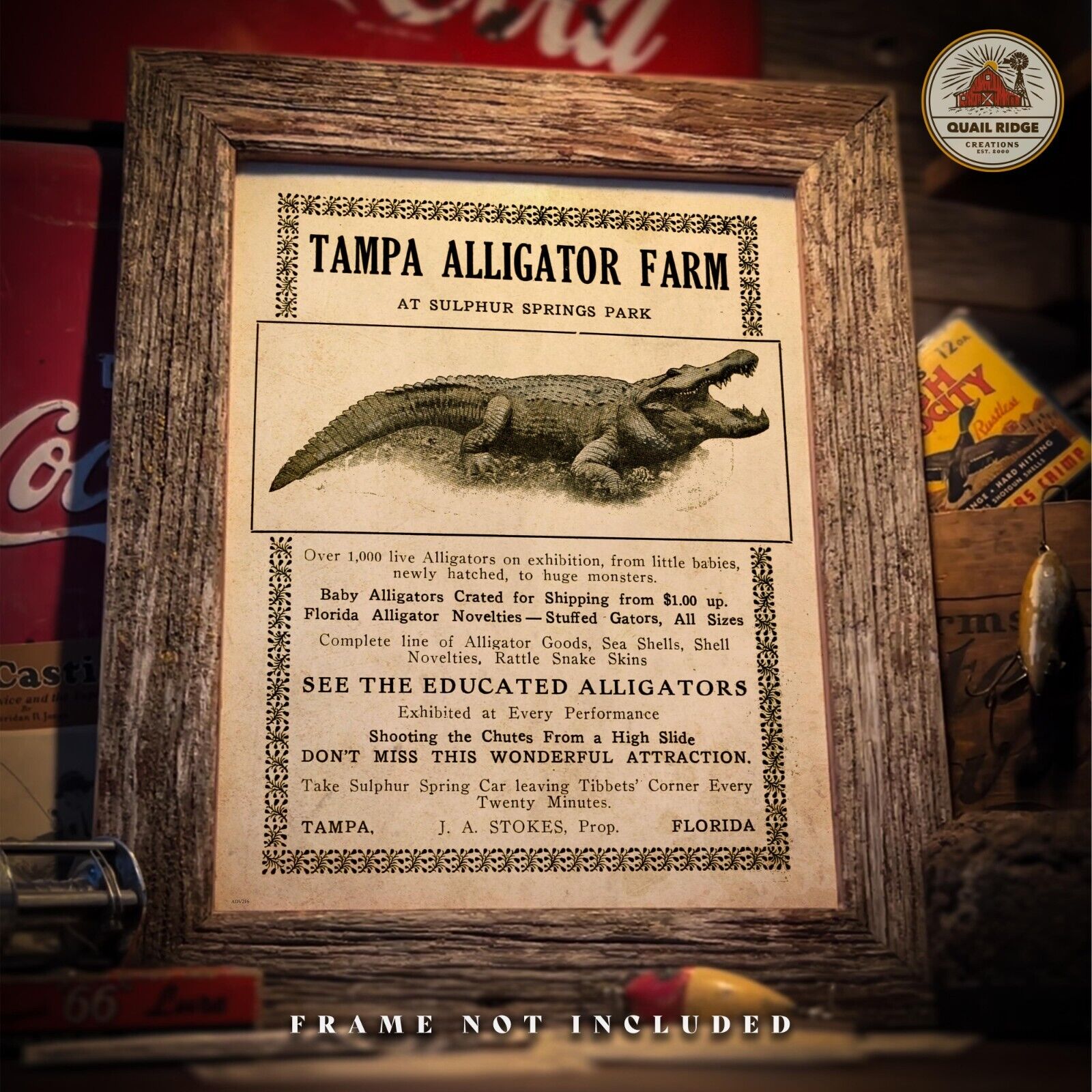 Vintage Tampa Alligator Farm Art Print Florida Gators Poster Art Wall Decor Gift