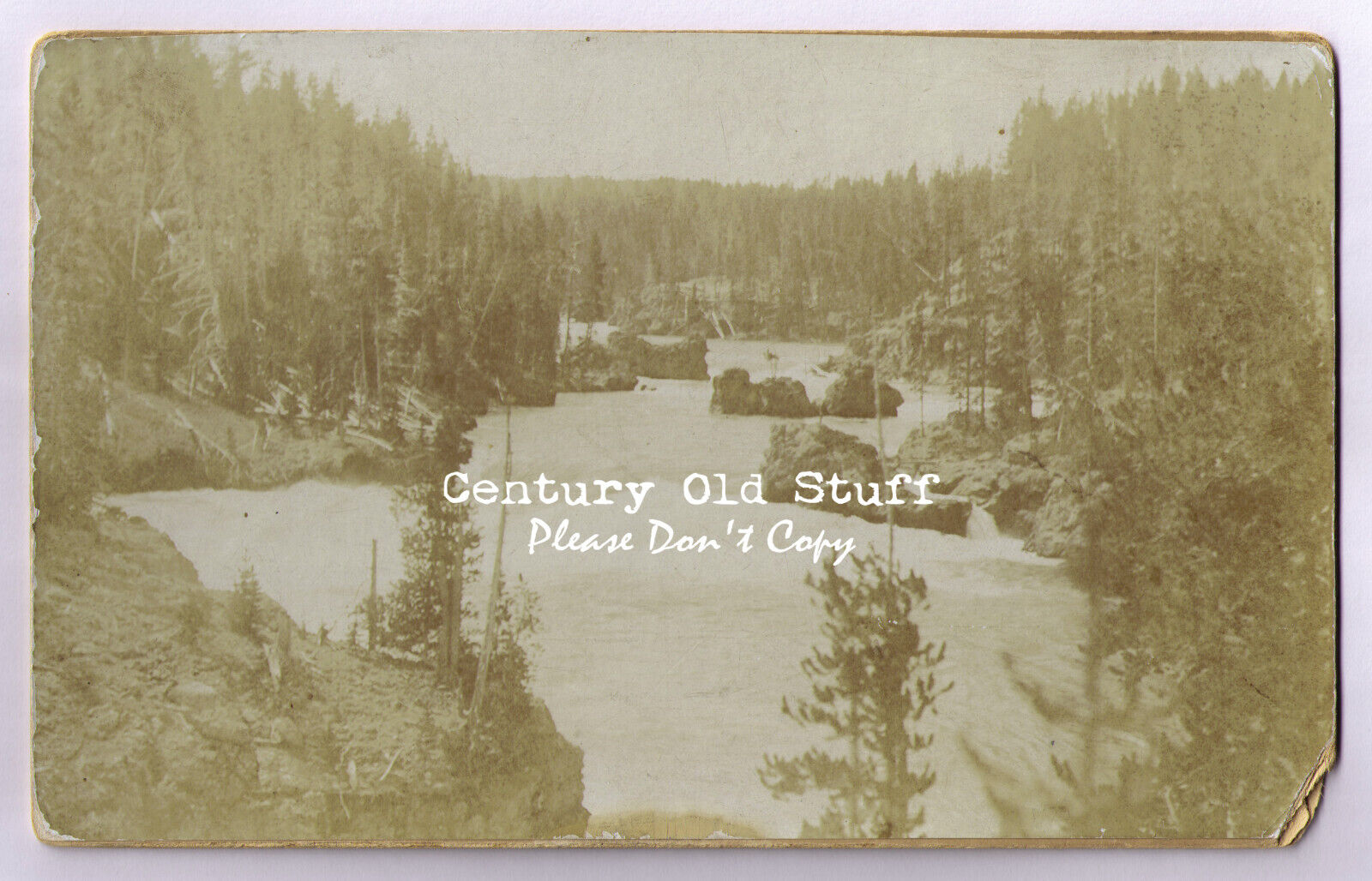 1890s, Yellowstone Rapids Just Above the Falls - Antique Cabinet Card Photo