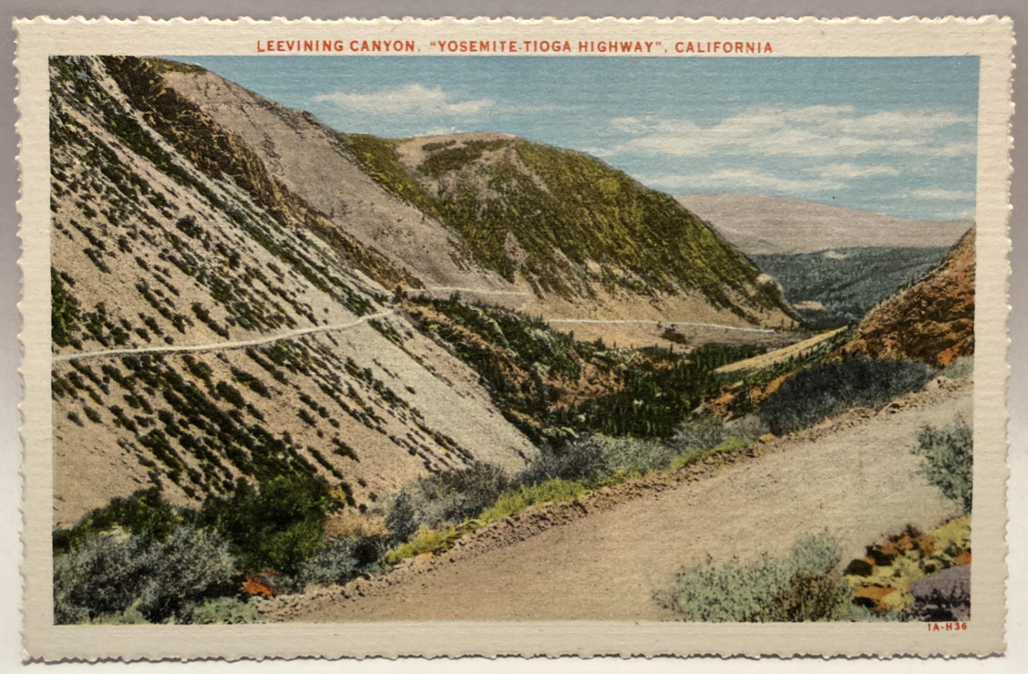 Leevining Canyon, Yosemite Tioga Highway, California CA Vintage Postcard