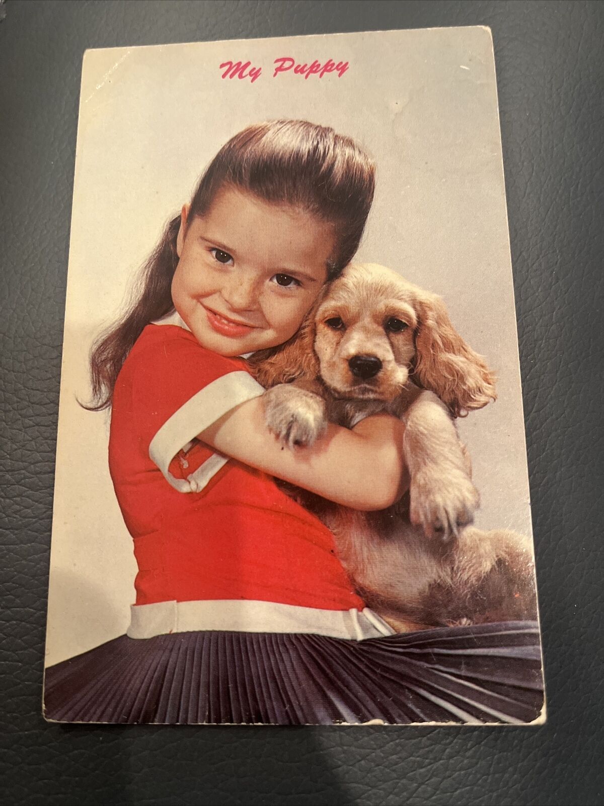 My Puppy Girl Vintage Postcard DR-13184-B Dexter Press Natural Color Unposted