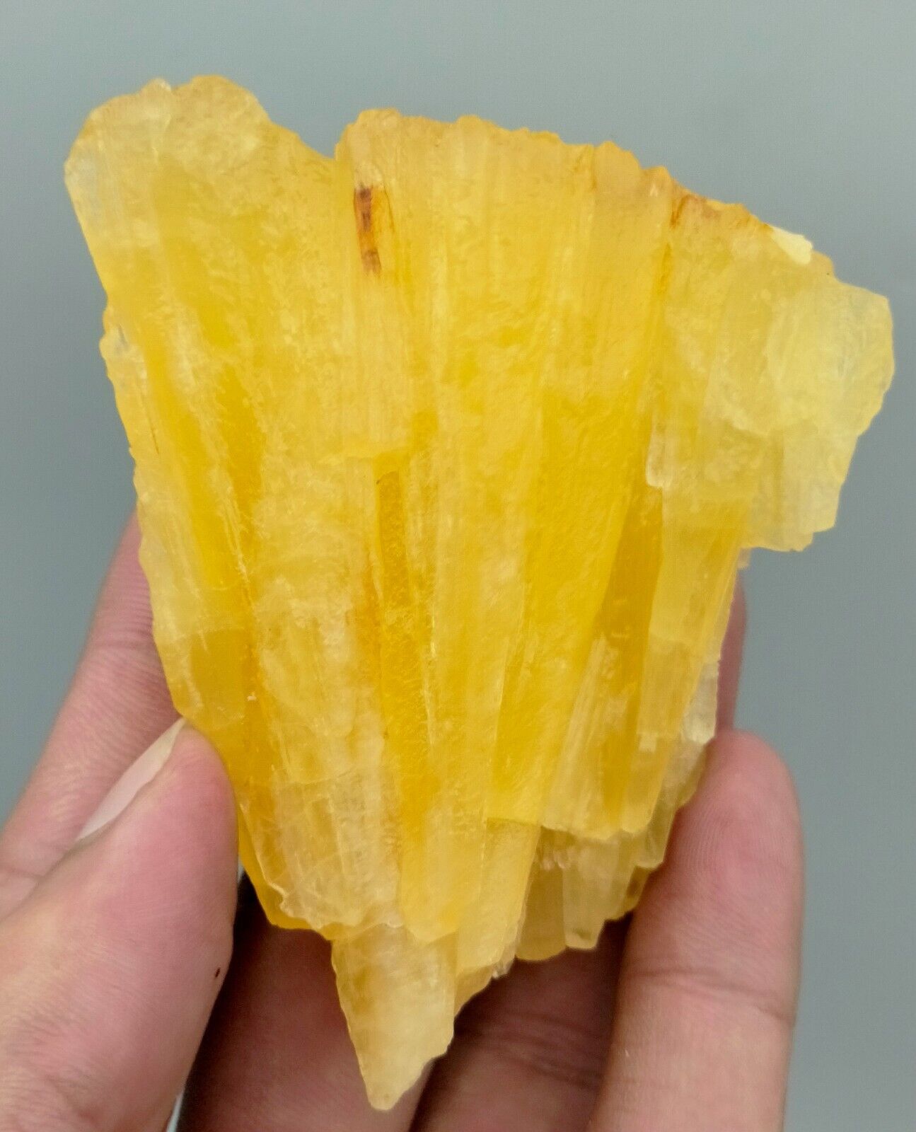 207 Gm Amazing Shape Fluorescent Phosphorescent Golden Aragonite specimen~AFG