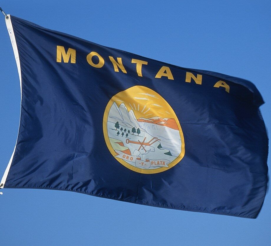 NEW 3x5 ft MONTANA STATE OF FLAG better quality usa seller