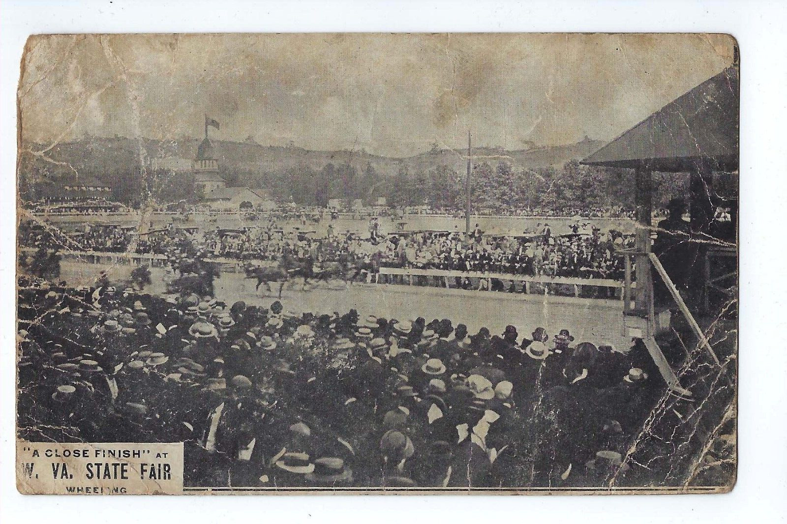 West Virginia State Fair Postcard Wheeling Harness Racing Horses  1909