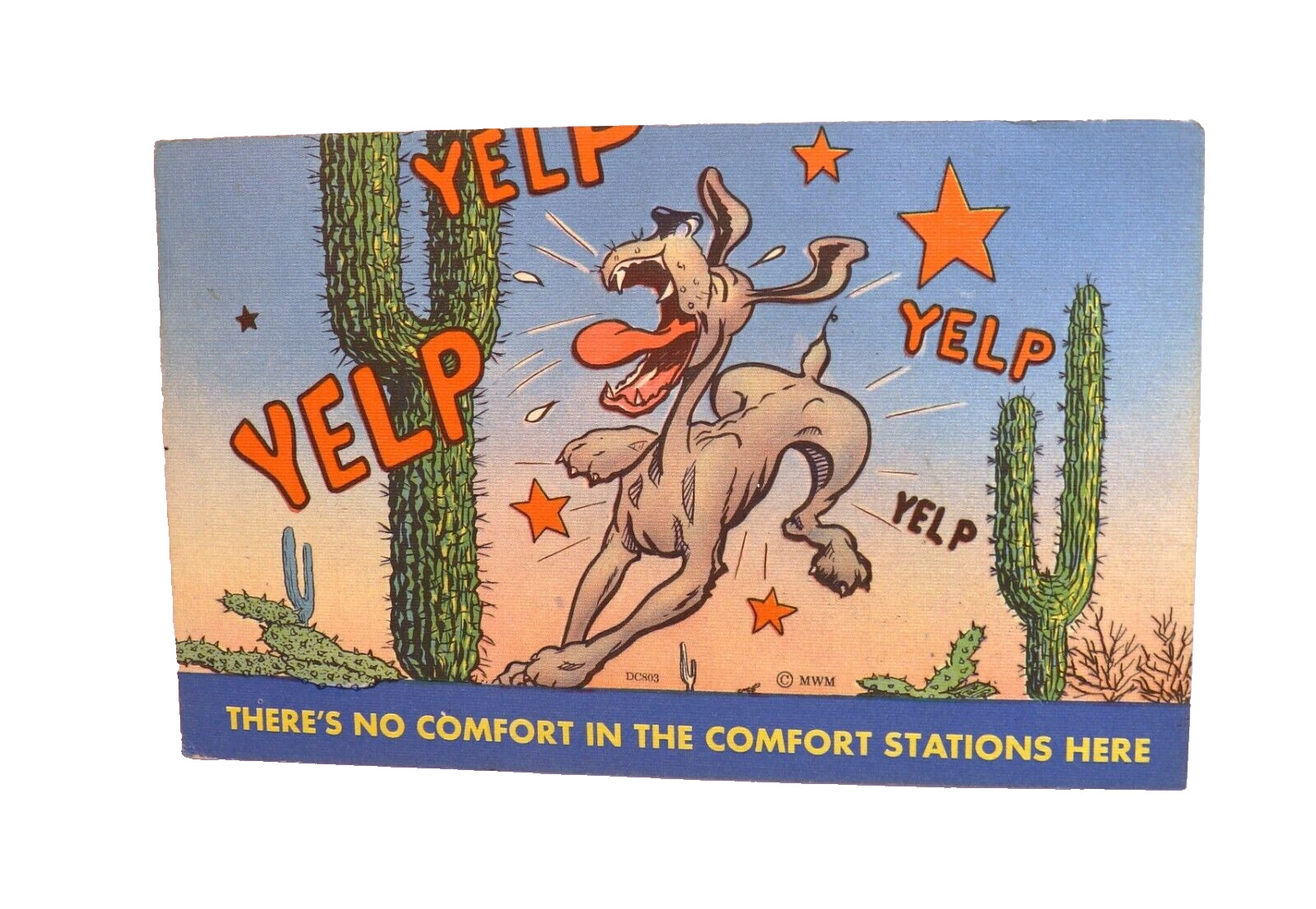 Vintage 1950s Humorous Postcard There's No Comfort In The Comfort Stations Here