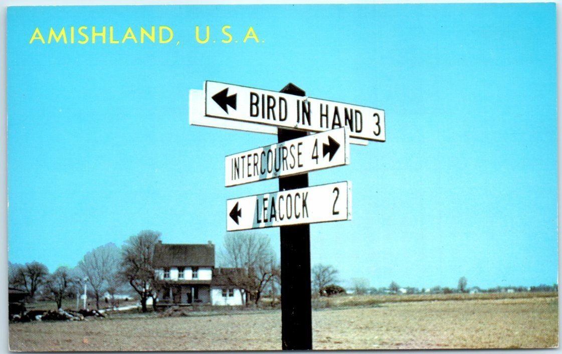 Postcard - Amishland, U.S.A - Dutch Country Road Signs