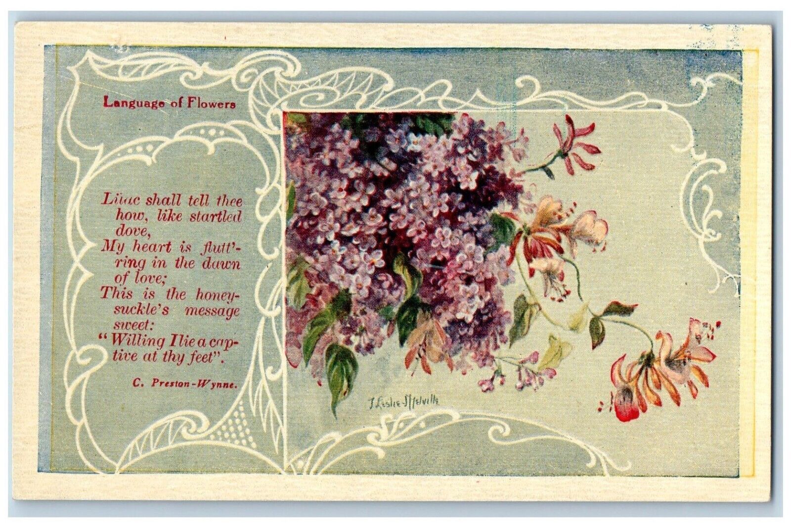 Language Of Flowers Postcard Motto C. Preston Wynne c1910's Unposted Antique