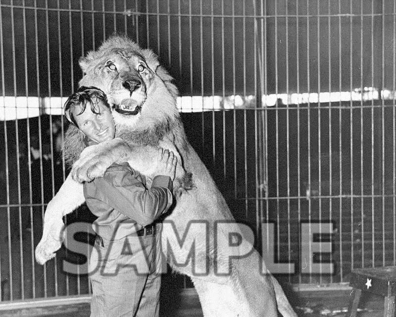 8x10 photo Jackie, the MGM Pictures logo lion with his trainer