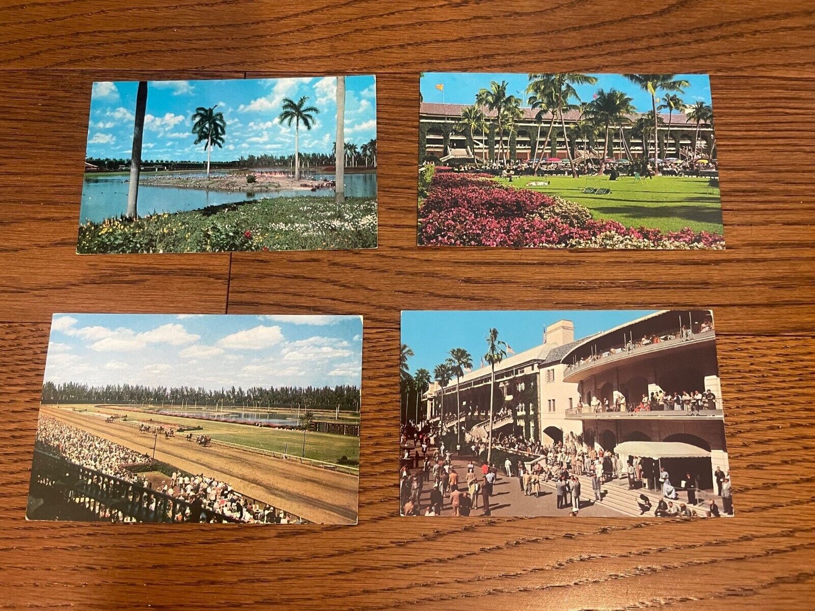 Miami FL Hialeah Horse Race Course Park Lot of 4 Postcards Florida