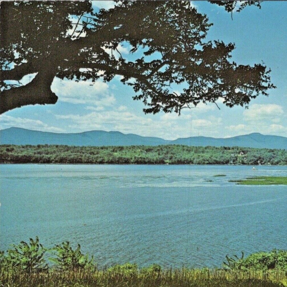 1979 Clermont State Park Columbia County Hudson River Catskill Mountain Postcard