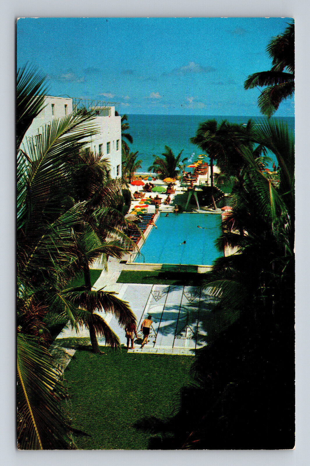 The Georgian Hotel Miami Beach Florida FL Beachside Hotel Beach Palms Postcard