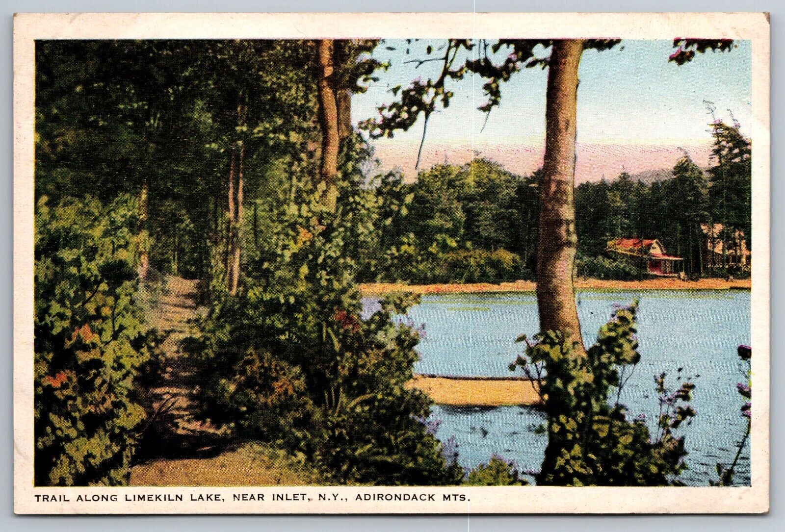 Trail Along Limekiln Lake Near Inlet. Adirondacks NY Vintage Postcard
