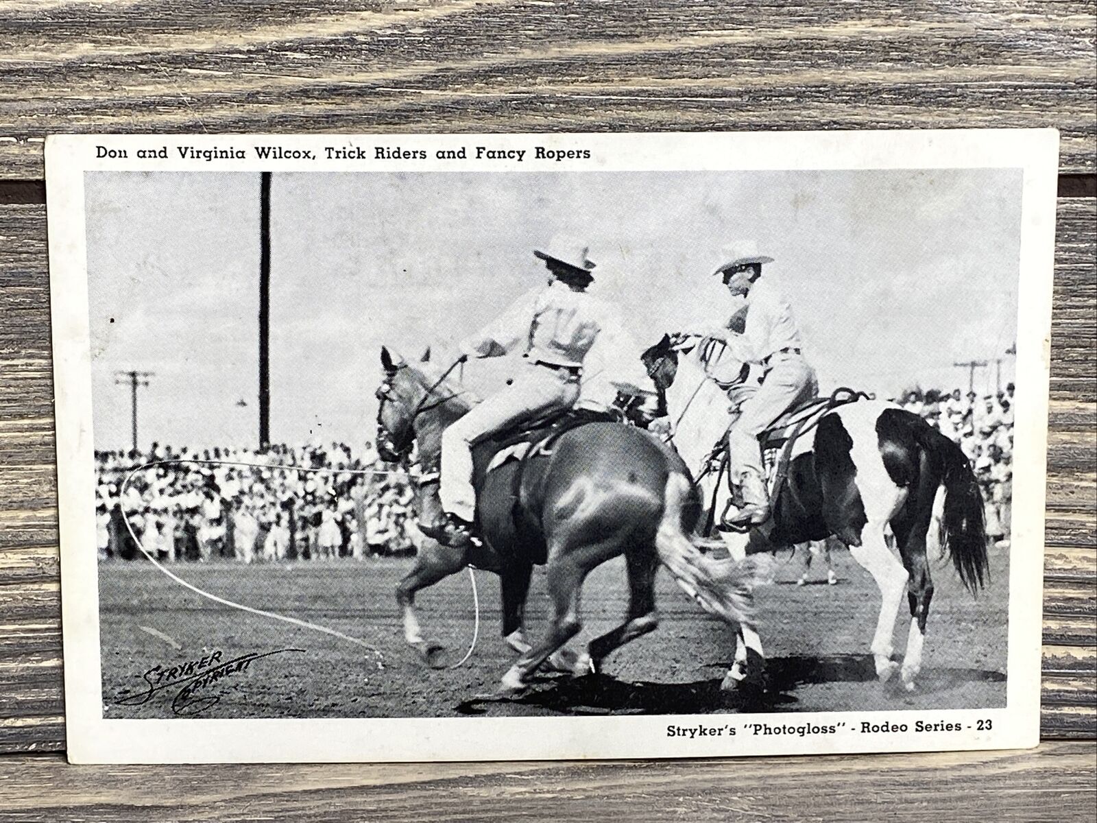 Vintage Postcard Don Virginia Wilcox Trick Riders Ropers Rodeo Series Fort Worth