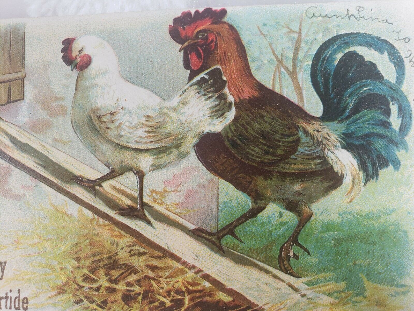 C 1910 A Happy Eastertide Embossed Rooster Chicken DB Antique Postcard