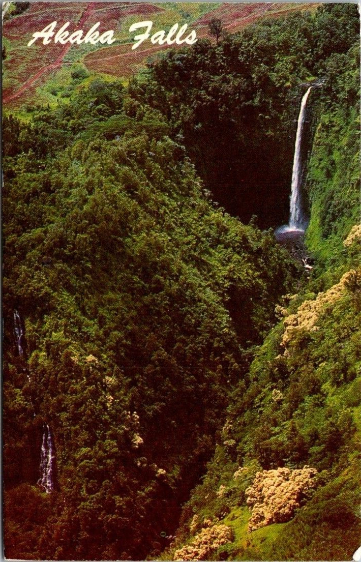 AKAKA FALLS near HILO HAWAII Vintage Chrome Postcard 1974 Posted A65