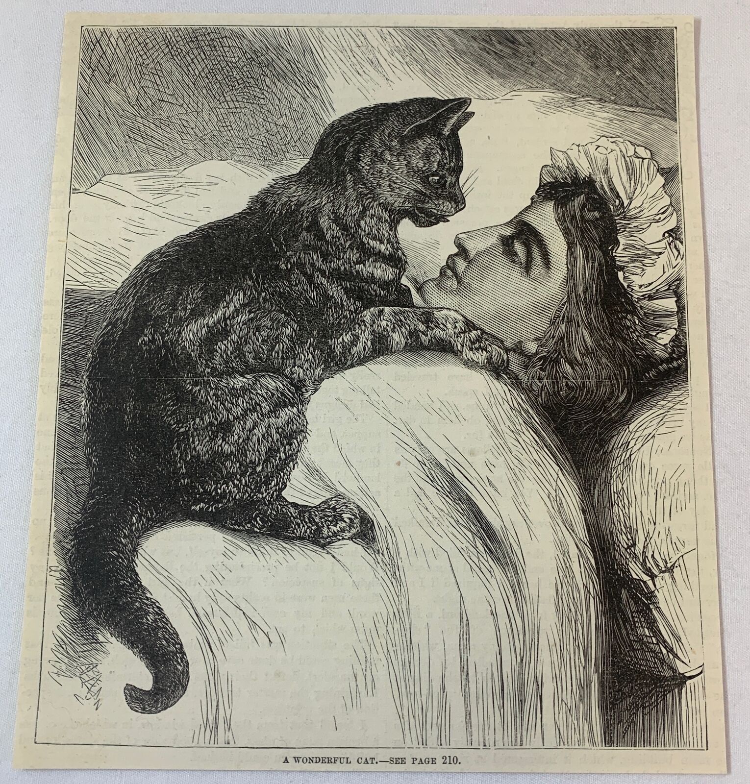 1876 magazine engraving~ CAT ON TOP OF HER SLEEPING OWNER