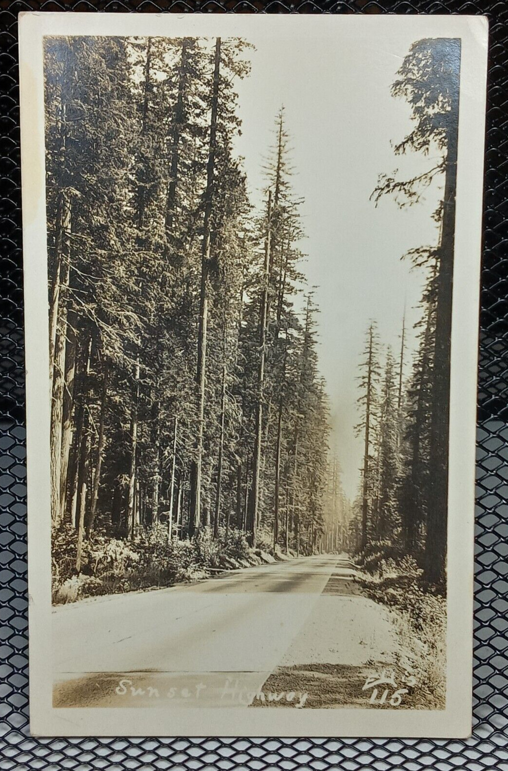 c.1930\'s Sunset Highway Paved Road Trees Oregon Vtg Postcard RPPC