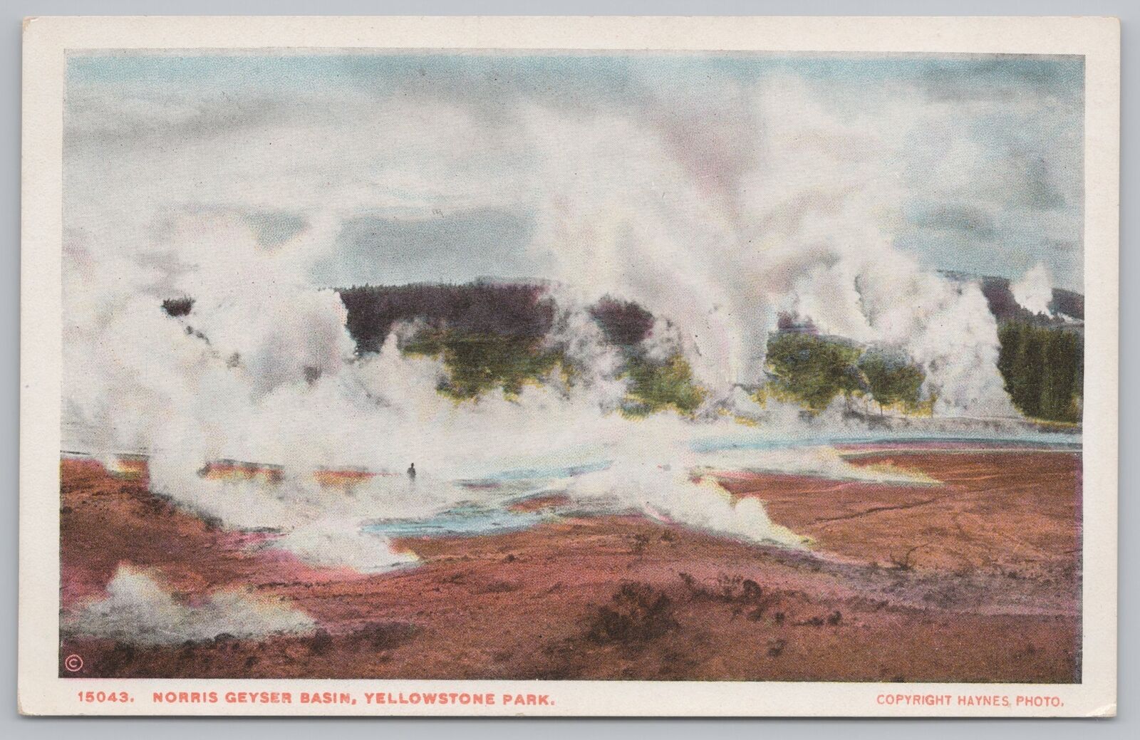 National & State Parks~Norris Geyser Basin Yellowstone Park~Vintage Postcard