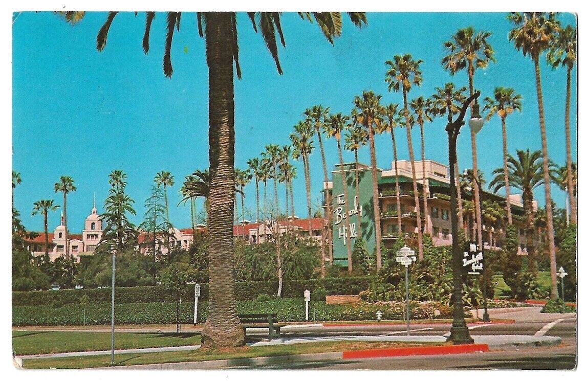 Beverly Hills California c1960's Beverly Hills Hotel, Palm Tree
