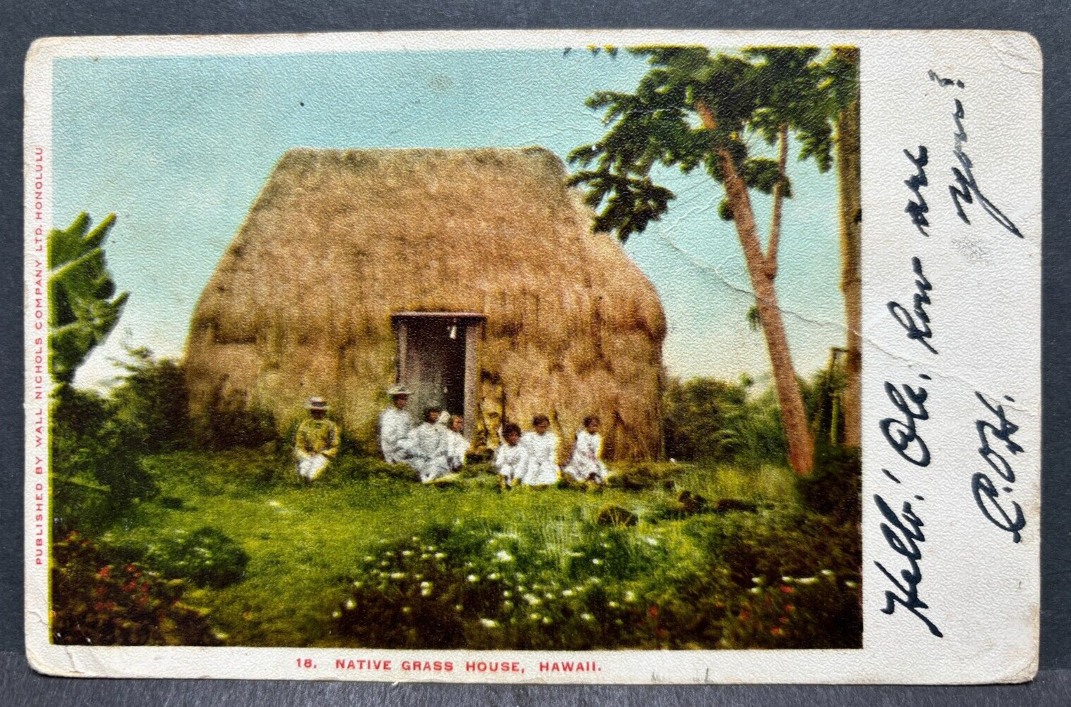 Postcard  Native Grass House, Hawaii 1904