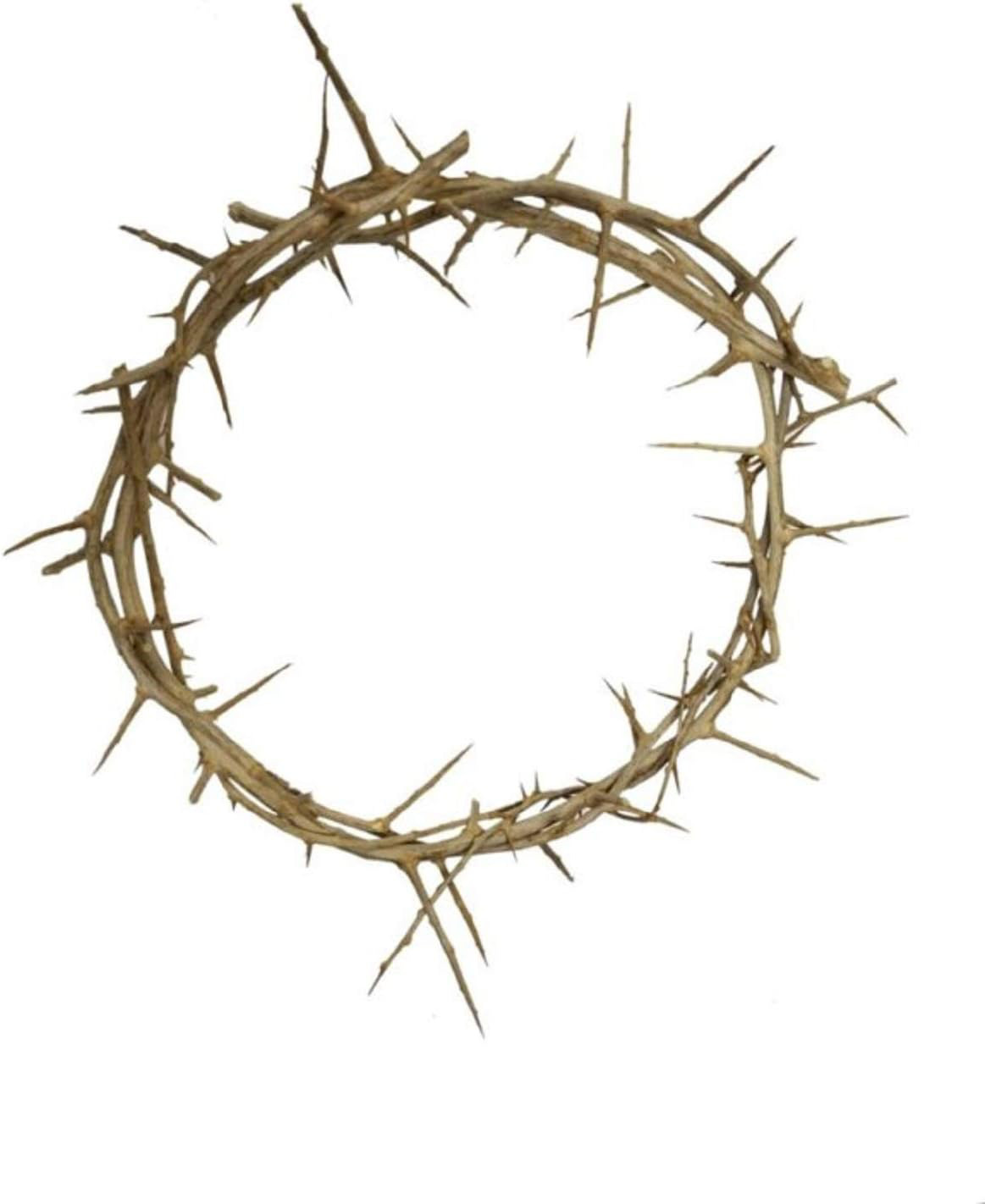 Bethlehem Gifts TM Authentic Jesus Biblical Crown of Thorns from The Holy Land