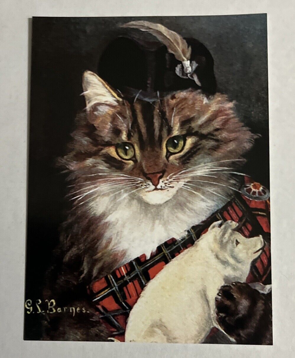 POSTCARD SCOTTISH CAT WITH PIG G L BARNES OILETTE VINTAGE ART REPRINT 4.25x5.75”