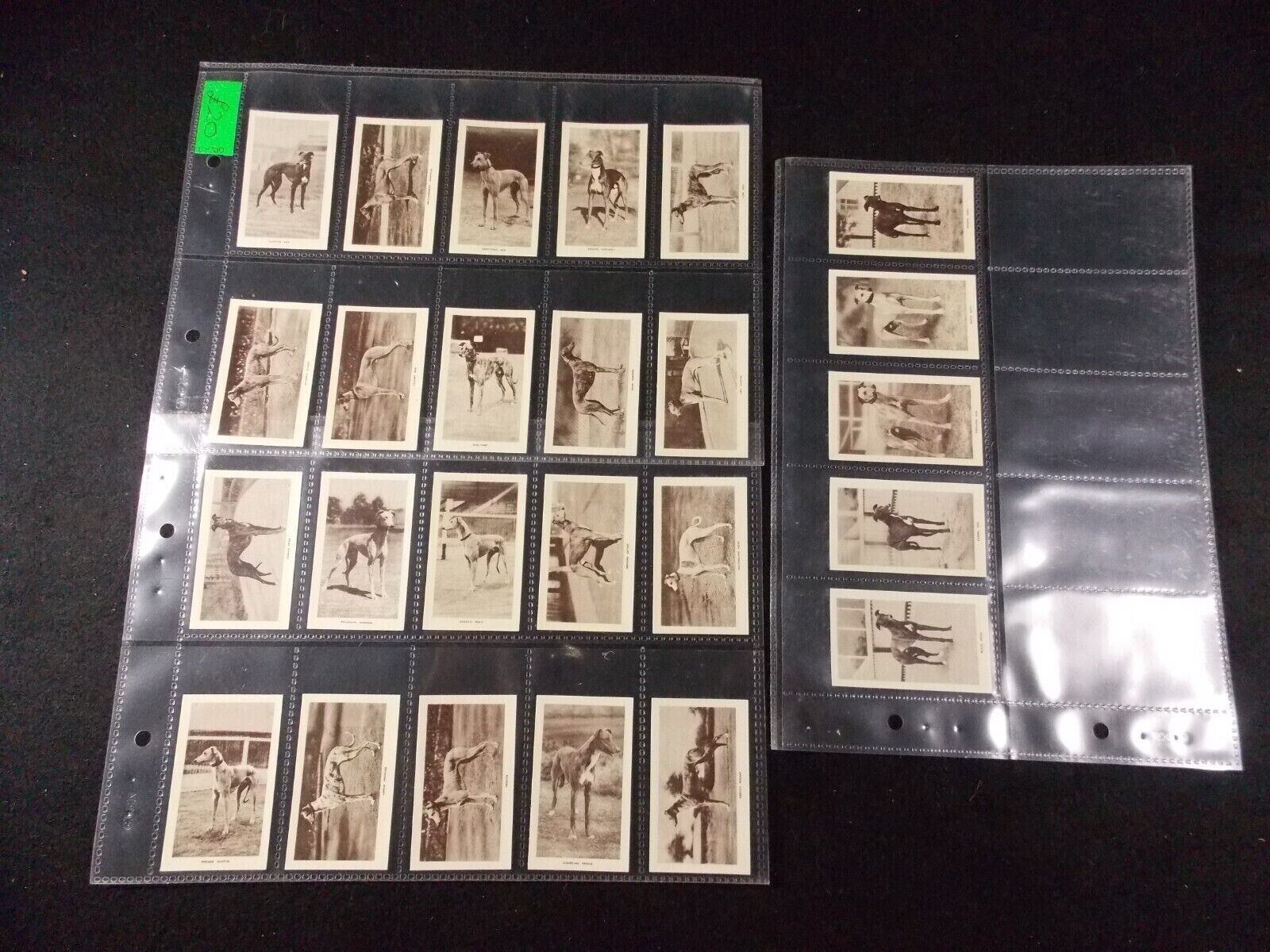De Reszke Millhoff Cigarette Cards Real Photographs 2nd Series 1931 Complete Set