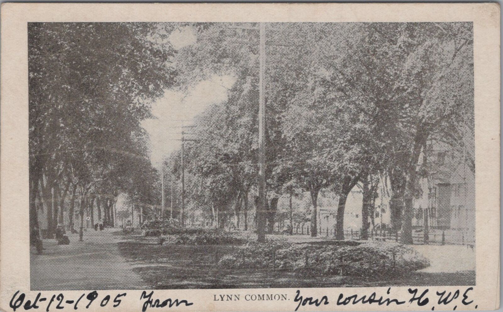 Lynn Common 1905 Undivided Back Postcard